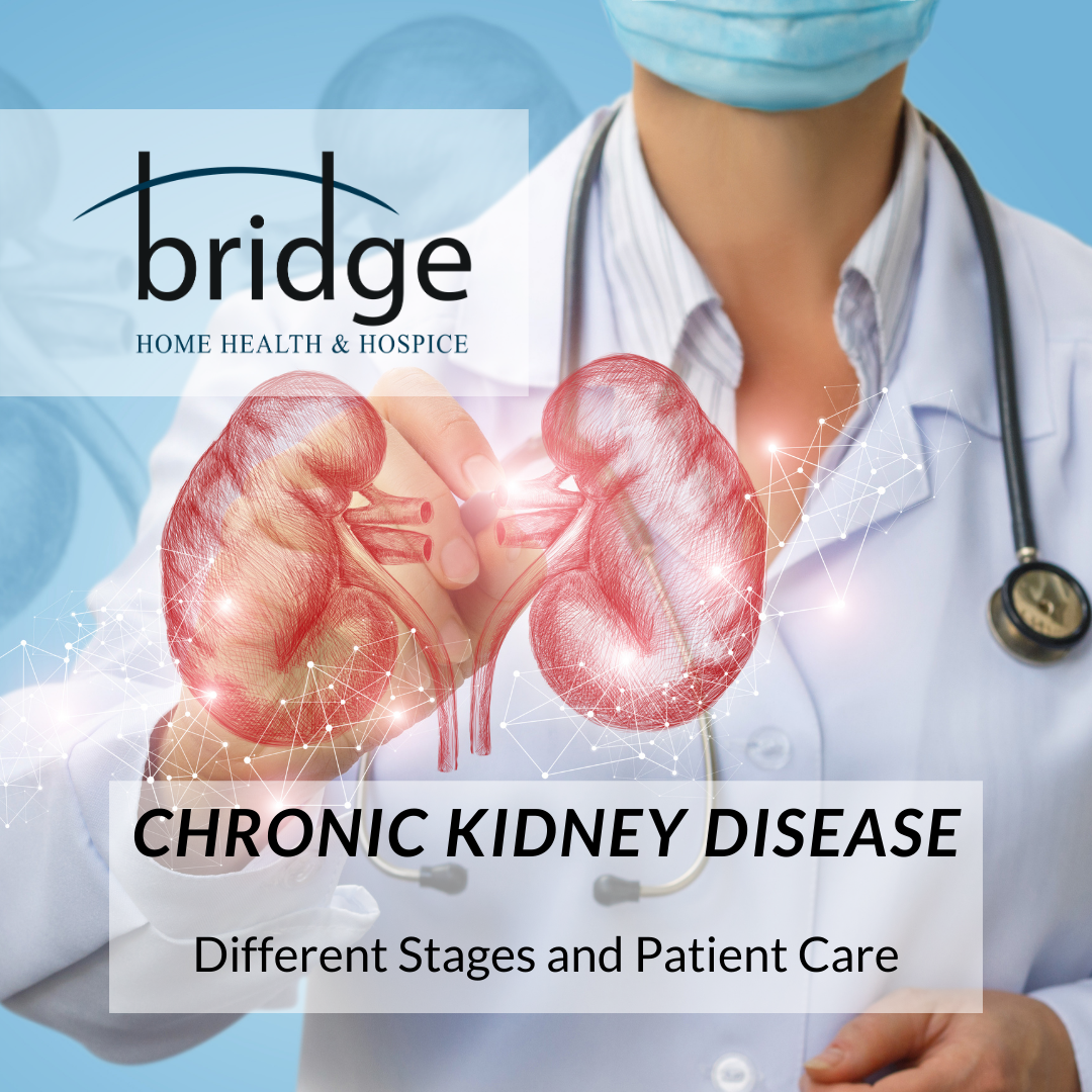 Chronic Kidney Disease, Different Stages and Patient Care Bridge Home